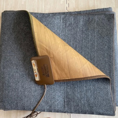 3点セット　フローリングホットカーペット、ホットクッション、こたつの画像