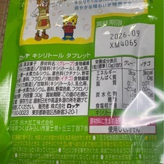 子ども用歯みがき2点セット（チェックアップkodomo・キシリトールタブレット）の画像