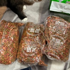 ねこ元気　猫の餌の画像