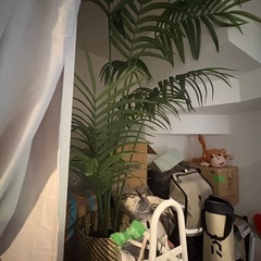 観葉植物 フェイクグリーン4つの画像