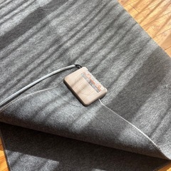 ホットカーペットの画像