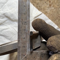 兼房  三面仕上カッター(2枚1組) セットの画像