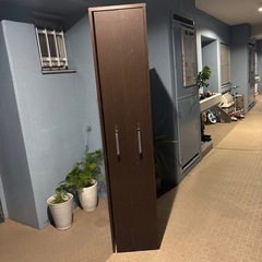 大至急　本棚　の画像