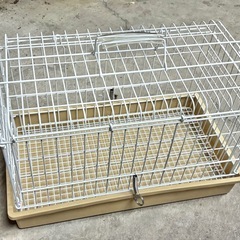 うさぎ ペット ライトキャリー の画像