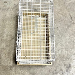 うさぎ ペット ライトキャリー の画像