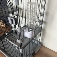猫　ケージ　　　　　の画像