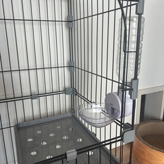 猫　ケージ　　　　　の画像