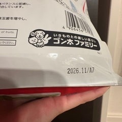 うさぎの主食の画像