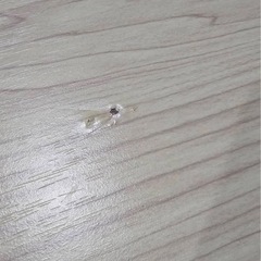 折り畳みミニテーブルの画像