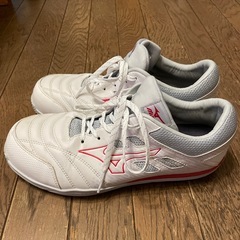 ミズノ安全靴の画像