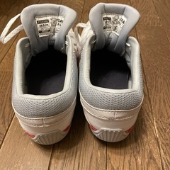 ミズノ安全靴の画像