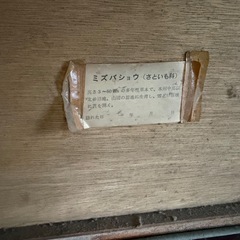 レトロなミズバショウの写真の壁掛けの画像