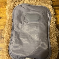 ペット用蓄熱式ゆたんぽ
の画像