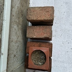 レンガ17個差し上げますの画像