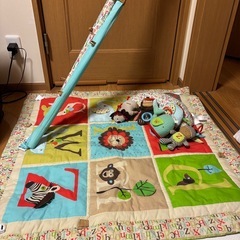 スキップホップ　ベビージムの画像