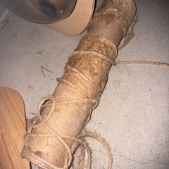 キャットタワー突っ張り 宇宙船 難アリの画像