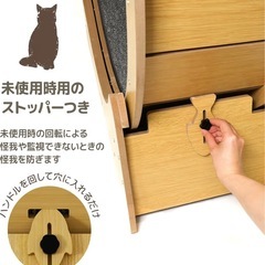 キャットホイール
の画像