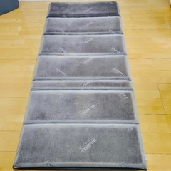 テンピュールのFuton Deluxe シングルマットレス の画像