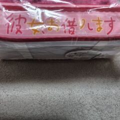 彼女お借りします　ぬいぐるみ付きティッシュケースカバー(未使用品未開封品）の画像