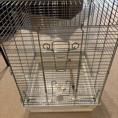 HOEI ホーエイ 手乗り35 ホライズン　台付の画像