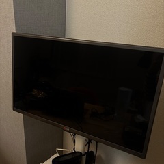  firestick第三世代付き、LGエレクトロニクス 28V型 地上・BS・110度CSデジタルハイビジョン液晶テレビ Smart TV 28LB491Bの画像