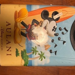 🌺ハワイ🌺ディズニーアウラニ購入　　🌺コロコロ🌺の画像