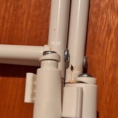 ラック　洗濯機　上棚の画像