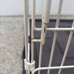 ペットケージの画像