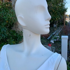 マネキンの画像