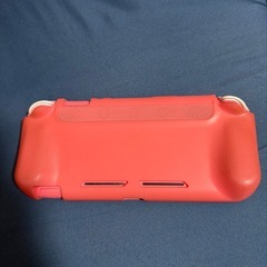 スイッチライトの画像