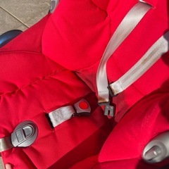 マキシコシの画像