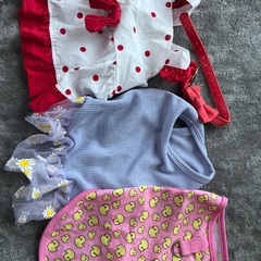 中古です。子犬Ｓサイズ、あげますの画像