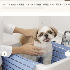 小さくたためる　お風呂のスノコの画像