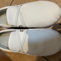 プーマ　スニーカー　24.5cmの画像