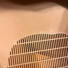 デオトイレ子猫用〜5kg　　　の画像