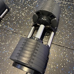 フレックスベル　32キロ　2個セット　2キロ刻み
の画像