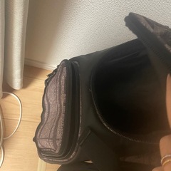 ゴルフバッグの画像