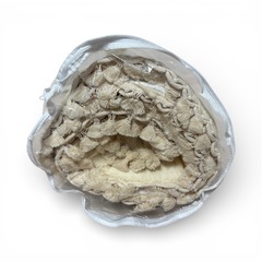 新品　PUPPAPUPO イブルマットの画像