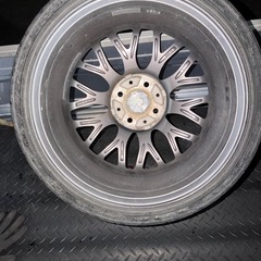 マルチフォルケッタの画像