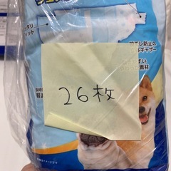 ペットの紙オムツ①の画像