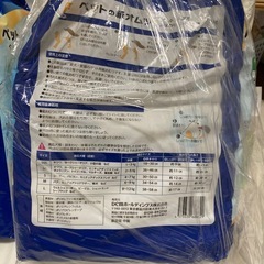 ペットの紙オムツ①の画像