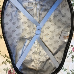 てんとう虫キャリーケースとリュックサックセットの画像