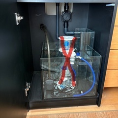 レッドシー　リーファー170、他【引き取り価格】の画像