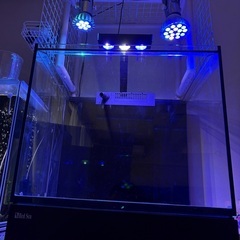 レッドシー　リーファー170、他【引き取り価格】の画像