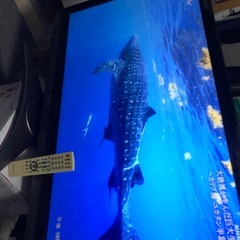 SHARP40型液晶テレビの画像