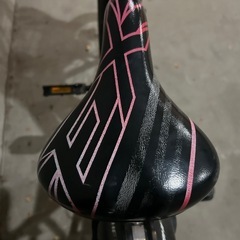 ブリヂストン[BRIDGESTONE] エクスプレスジュニア自転車20インチの画像