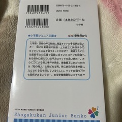 名探偵コナン 本 新品の画像