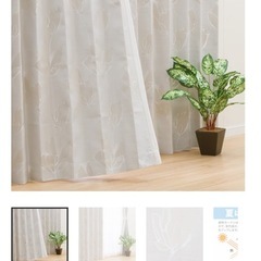 ニトリ　カーテン　4枚セットの画像