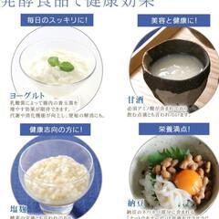 美品アイリスオーヤマ ヨーグルトメーカー プレミアム 温度調節機能付きの画像