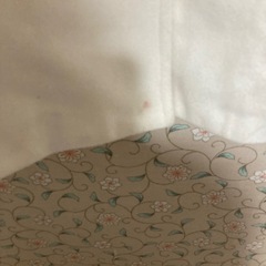 レディースコートの画像